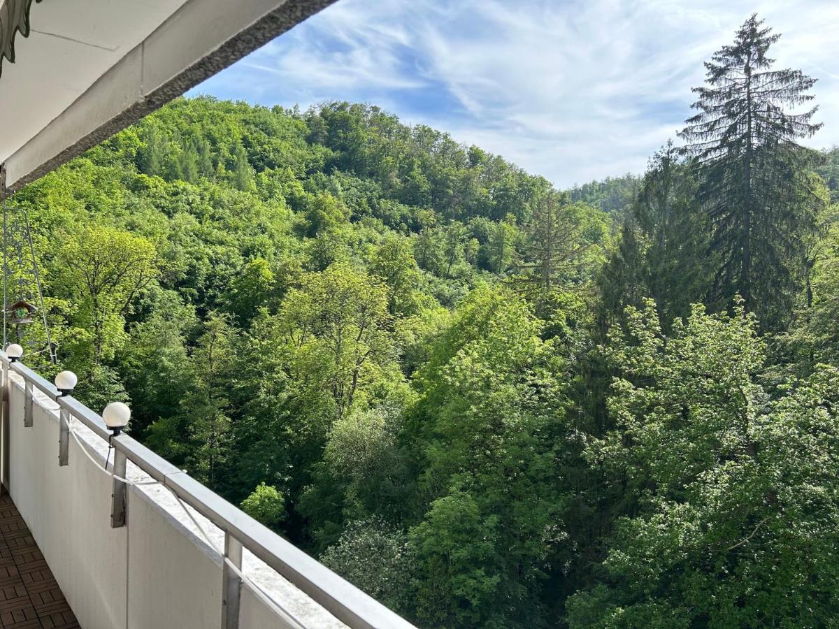 Wald-Idyll: Urlaub Im Gruenen Leilighet Bad Harzburg Eksteriør bilde