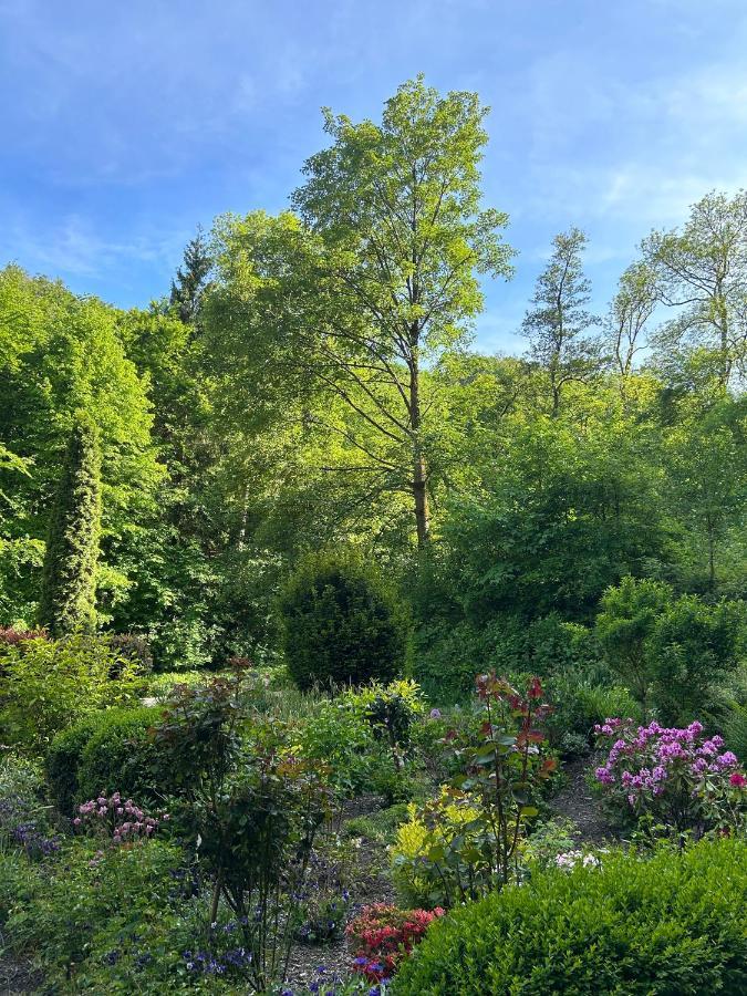 Wald-Idyll: Urlaub Im Gruenen Leilighet Bad Harzburg Eksteriør bilde